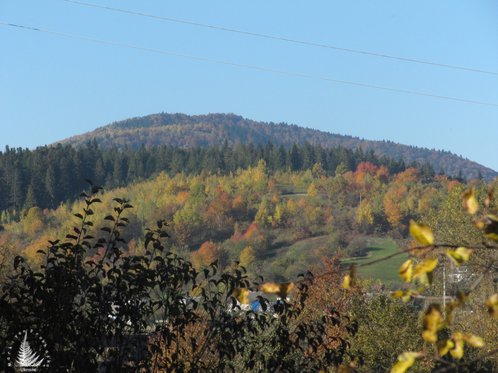 Autumn ideas