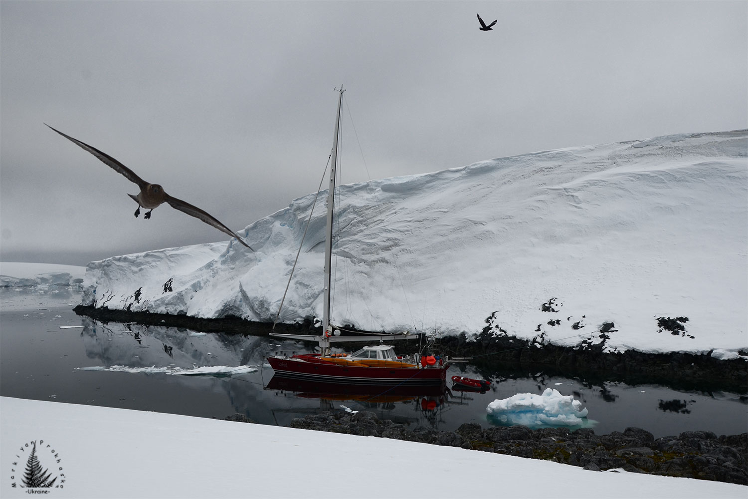 Sounds of Antarctica