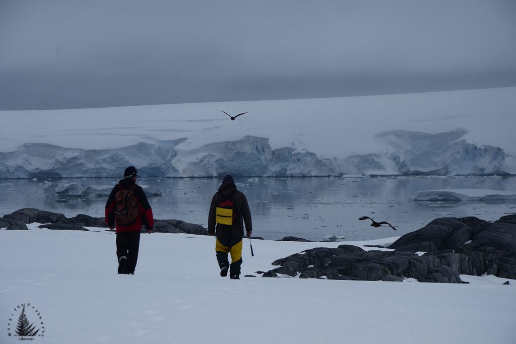 Scientists in Antarctica
