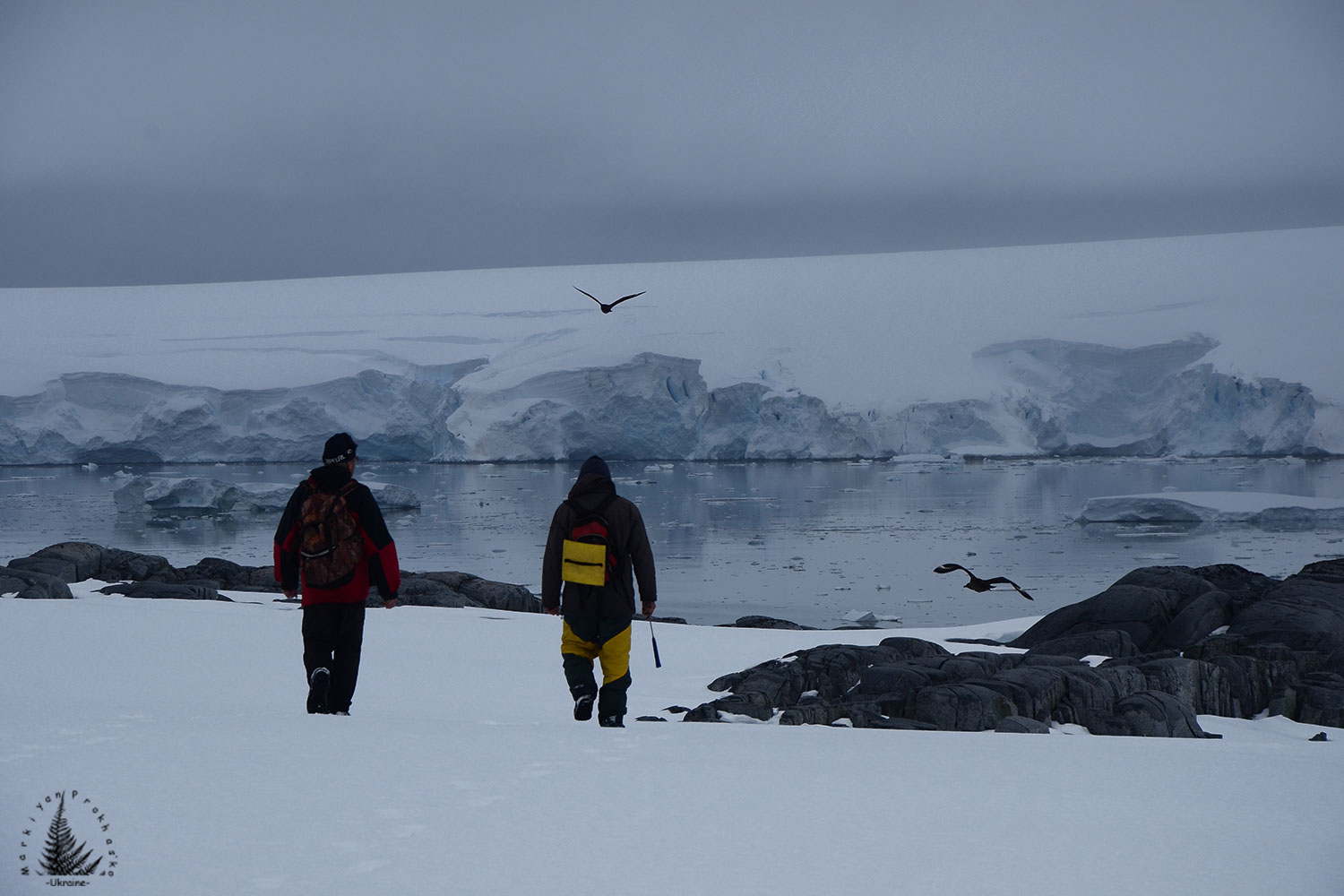 Scientists in Antarctica