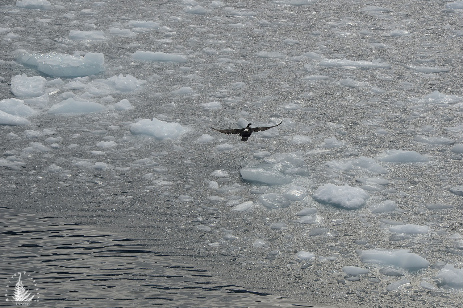Ice and air