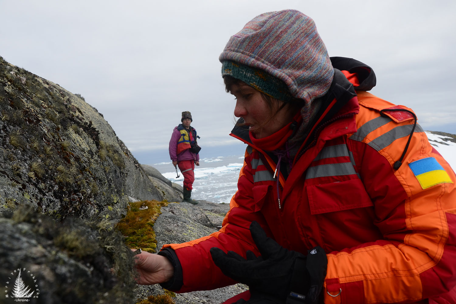 Antarctic vegetation research