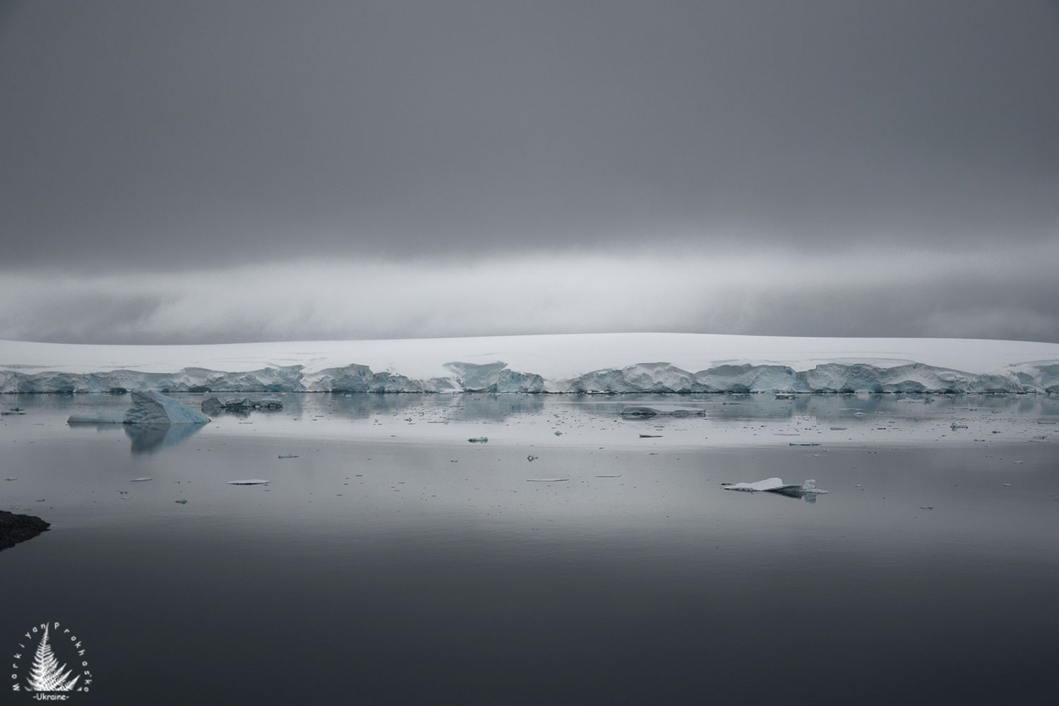 The tender embrace of Antarctic grey