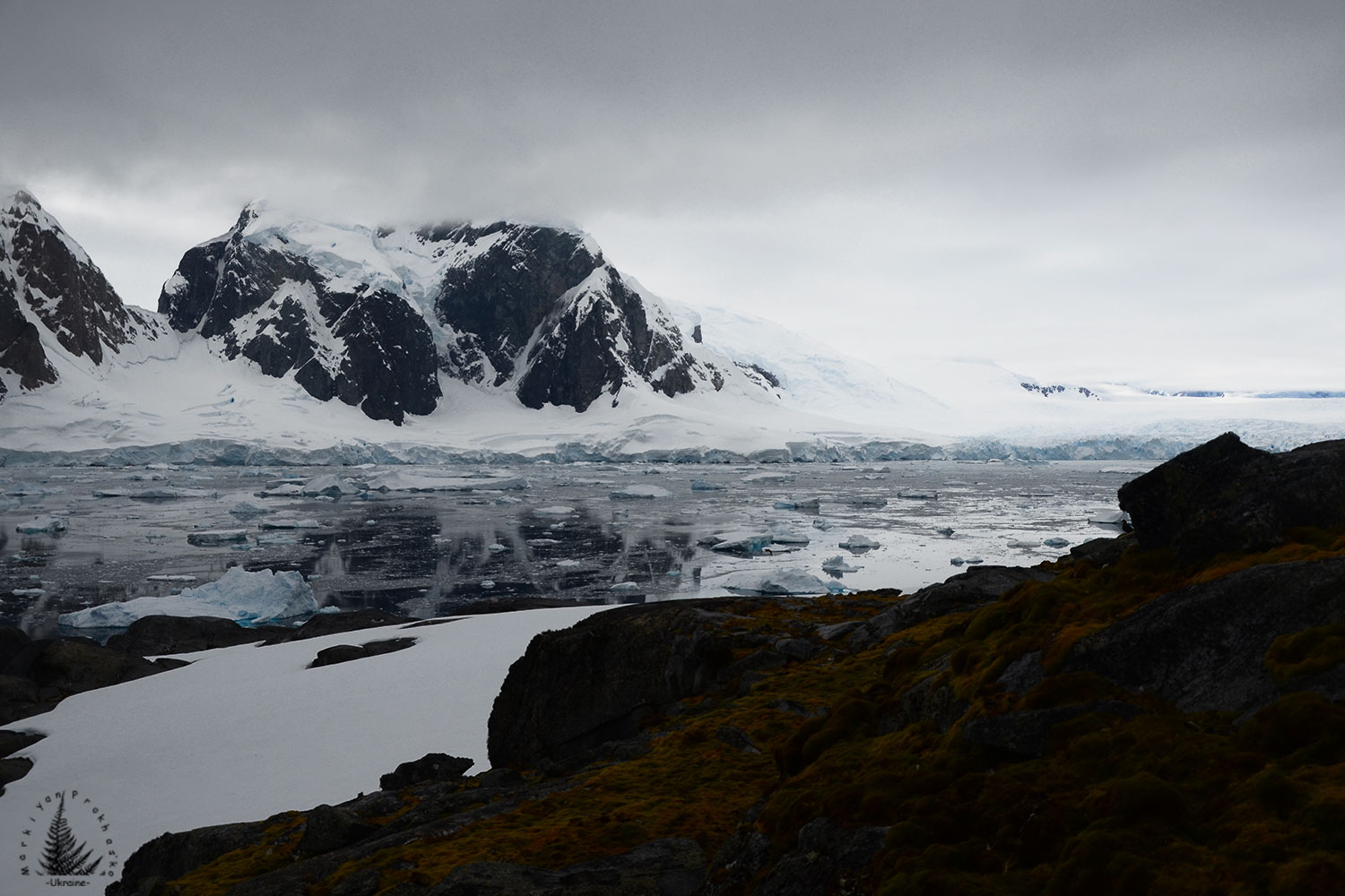 Calm Antarctica