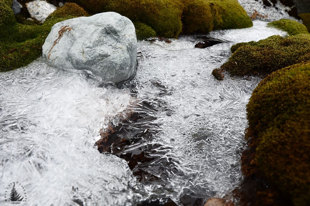 fresh water antarctica