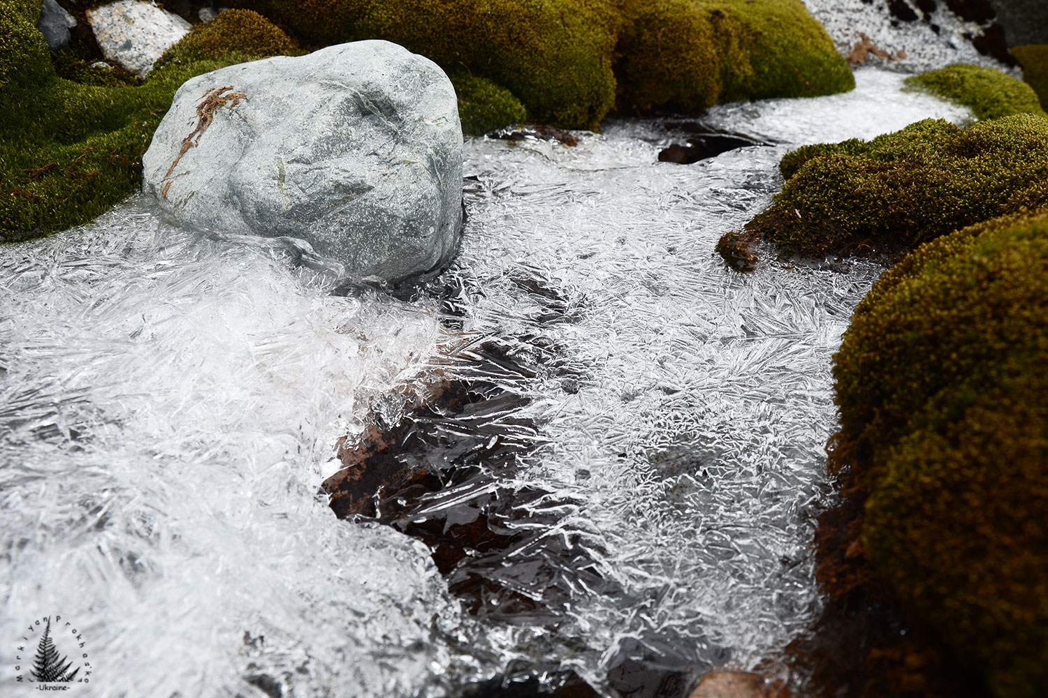 fresh water antarctica