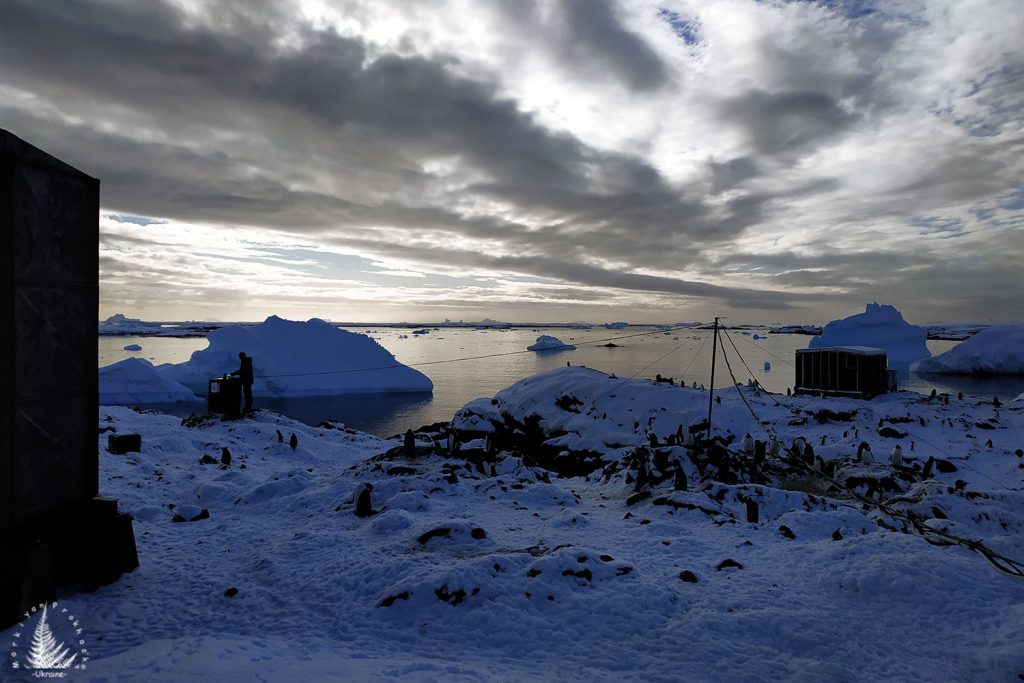Polar Visions