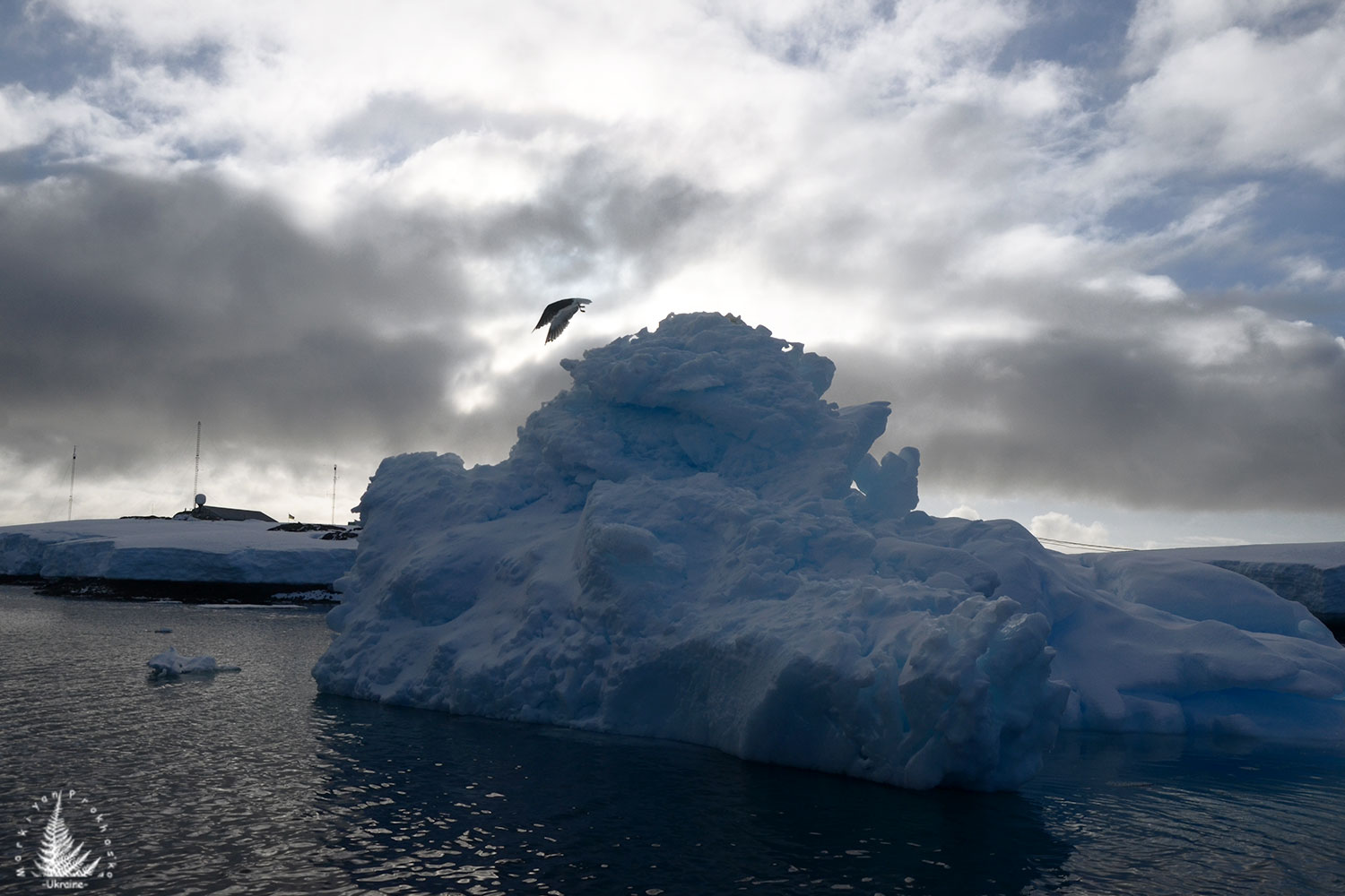 Antarctic airlines
