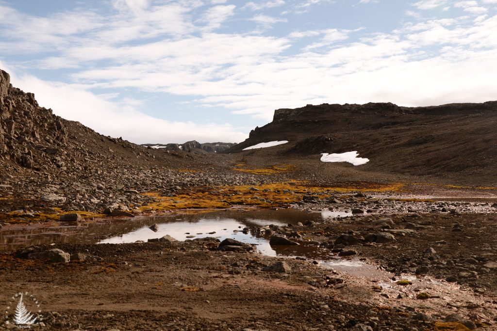 eco-nelson antarctica