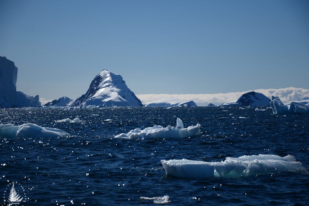 Most beautiful icebergs