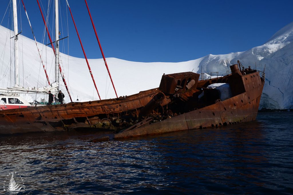 Enterprise island Antarctica