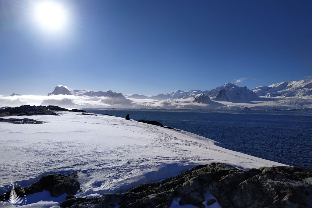 islands of antarctica