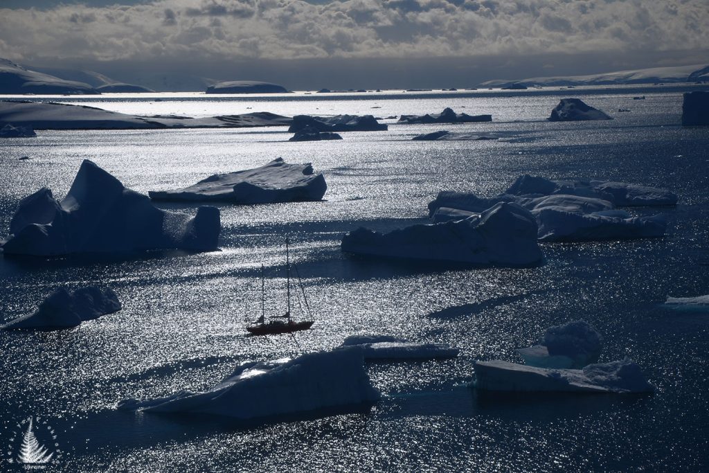 Trip to antarctica