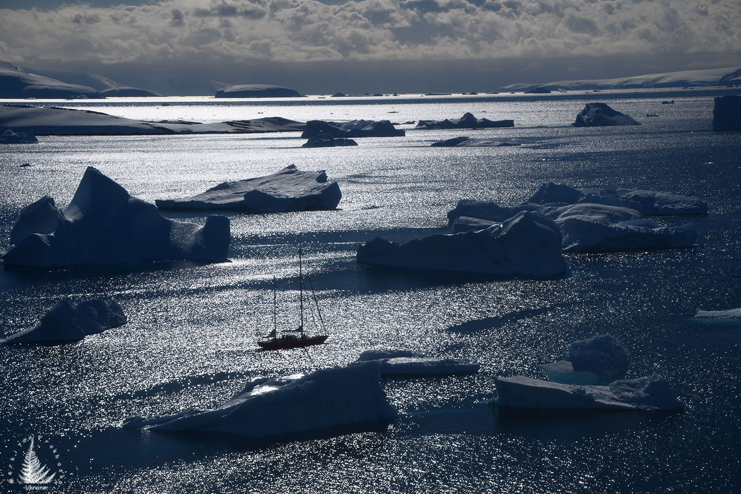 Trip to antarctica