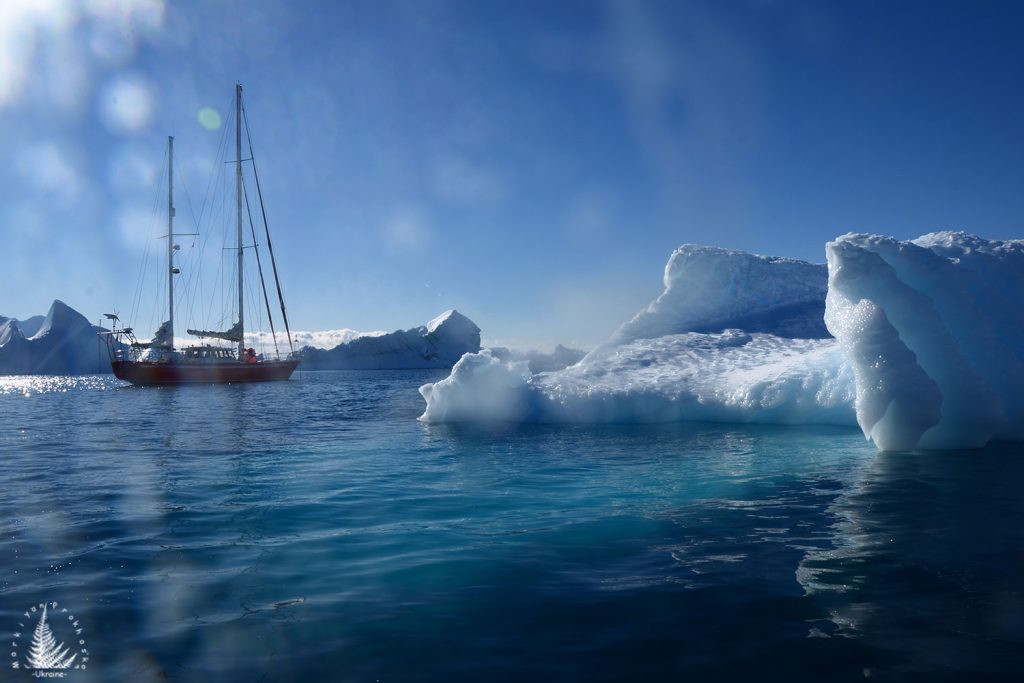 marine antarctica