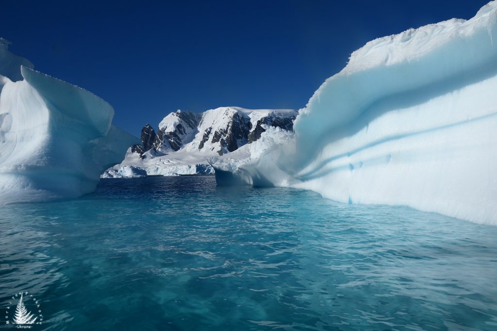 Beautiful icebergs