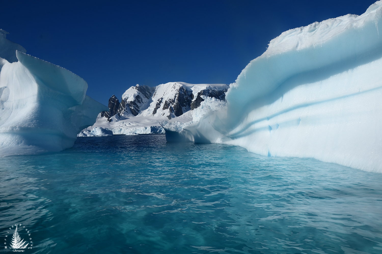 Beautiful icebergs
