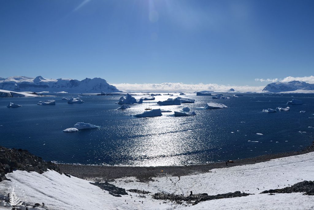 Antarctica exploration alien worlds