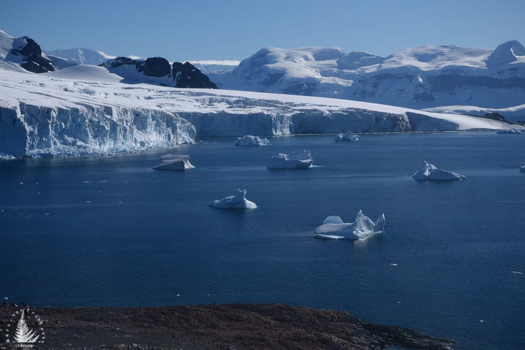 iceberg views antarctica