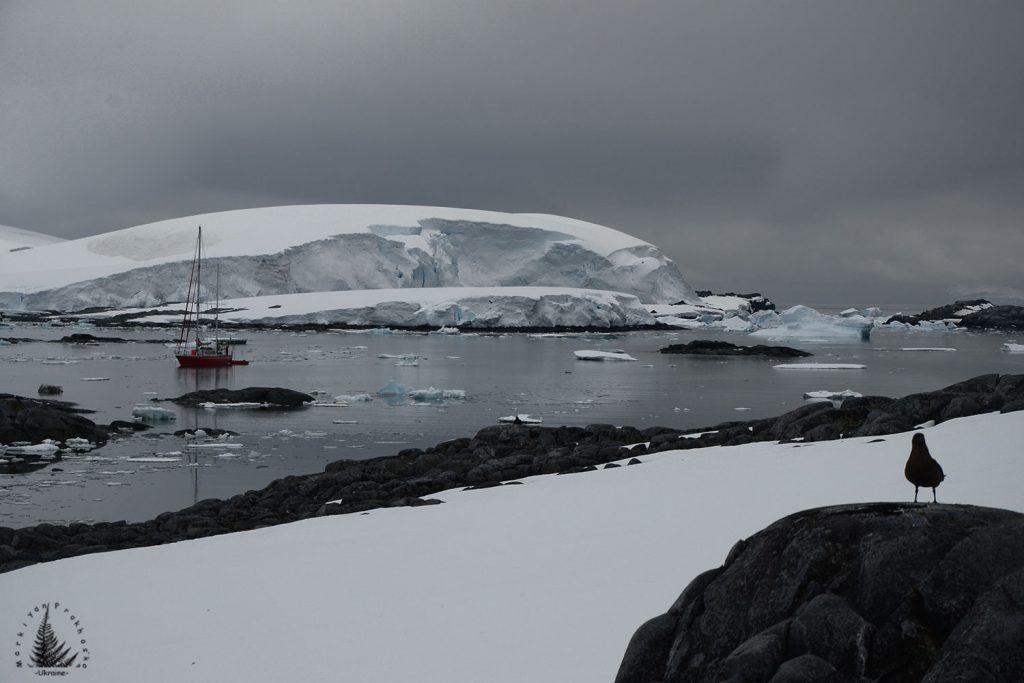 Antarctica survival extreme conditions alien planet