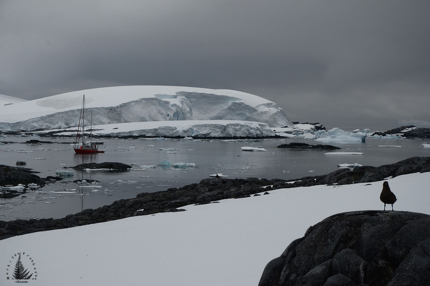 Antarctica survival extreme conditions alien planet