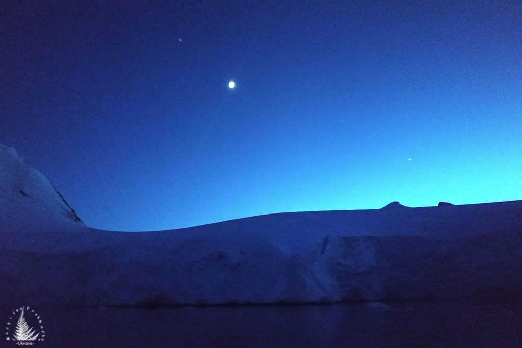 Silent Majesty of the Ice