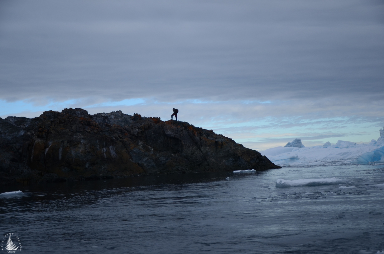 projects Antarctica