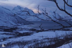 Norge Arctic